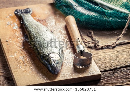 Freshly caught fish for dinner