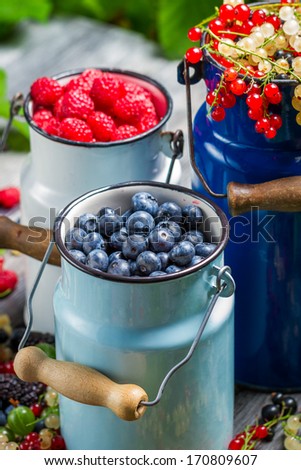 Collecting fresh wild berries