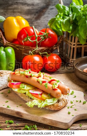Closeup of fresh hot dog with mustard and ketchup
