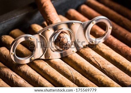 Cutting off cigar tip on cigars pile