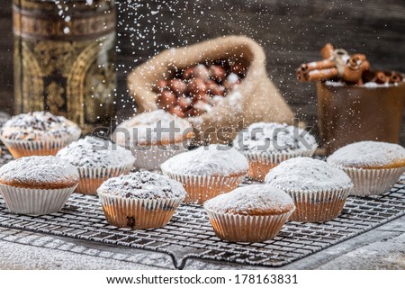 Vanilla muffins decorated with powder sugar