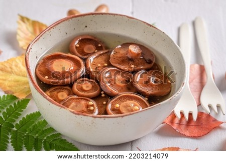 Similar – Image, Stock Photo Saffron milk cup mushroom (lactarious deliciosus) in a basket