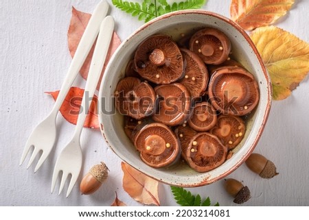 Similar – Image, Stock Photo Saffron milk cup mushroom (lactarious deliciosus) in a basket