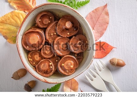 Similar – Image, Stock Photo Saffron milk cup mushroom (lactarious deliciosus) in a basket