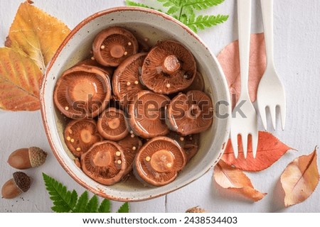 Similar – Image, Stock Photo Saffron milk cup mushroom (lactarious deliciosus) in a basket