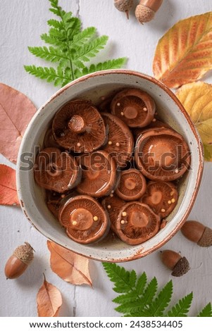 Similar – Image, Stock Photo Saffron milk cup mushroom (lactarious deliciosus) in a basket