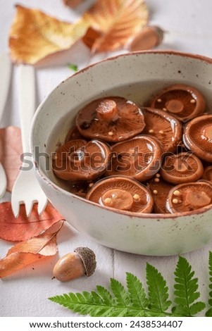 Similar – Image, Stock Photo Saffron milk cup mushroom (lactarious deliciosus) in a basket