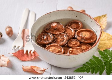 Similar – Image, Stock Photo Saffron milk cup mushroom (lactarious deliciosus) in a basket