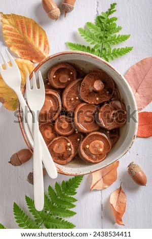 Similar – Image, Stock Photo Saffron milk cup mushroom (lactarious deliciosus) in a basket