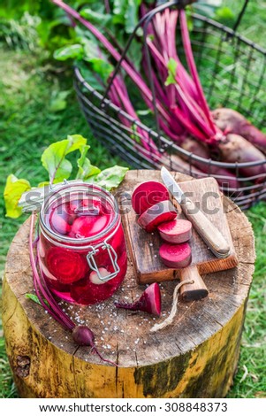 Homemade canned beetroots in summer