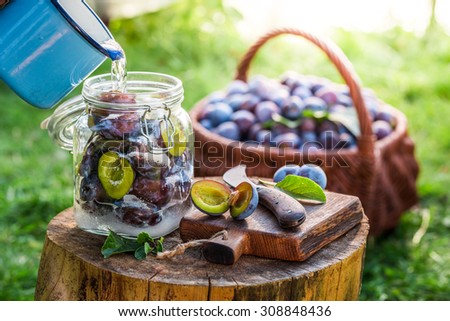 Preparation for canned plums in summer