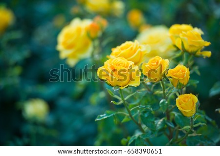 Shutterstock Puzzlepix