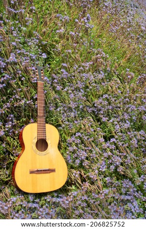 classical guitar in a purple field vertical