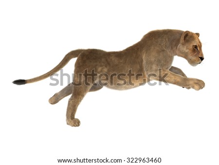 3D digital render of a female lion hunting isolated on white background