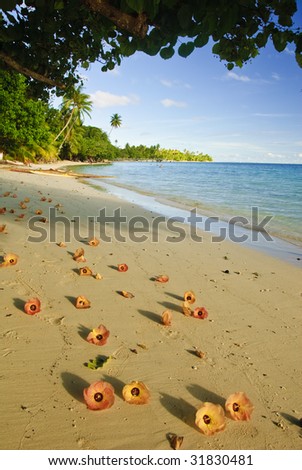 Tropical landscape, Huahine island, French Polynesia South Pacific