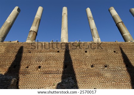 shadows contrast against columns in the roman forum