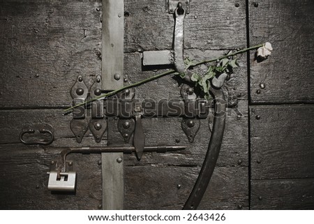 close up iron lock with a wilted rose left for an unknown lover