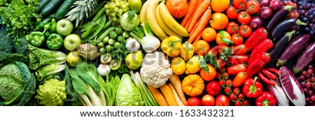 Panoramic food background with assortment of fresh organic fruits and vegetables in rainbow colors