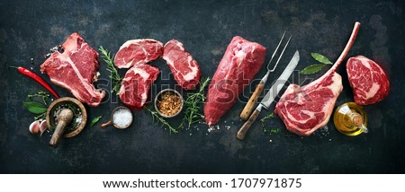 Similar – Image, Stock Photo Food background with meat stuffing on dark table with herbs, wooden cooking spoon and dish towel. Cooking with minced meat and parsley. Top view with copy space.