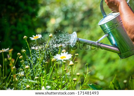 Watering flowers with a watering can