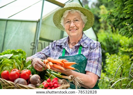 Senior woman with a basket of harvested vegetables against a hothouse