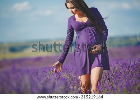 long-haired pretty pregnant woman in a lavender field with basket of lavender flowers. Young romantic pregnant woman picks some lavender from purple lavender field. In dress, bouquet of lavender