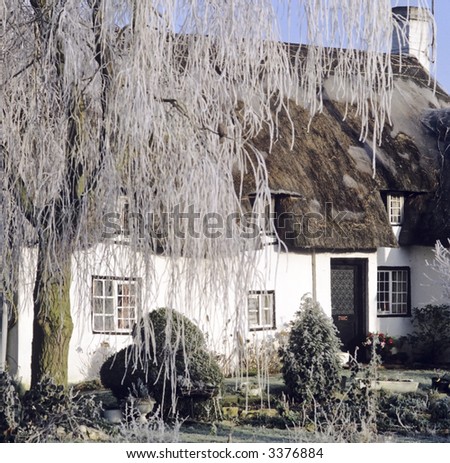 thatched cottage winter tree covered with frost