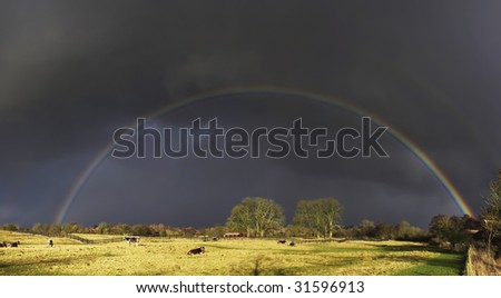 farmland with cattle, silver birch trees and an approaching storm on the horizon