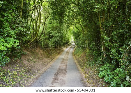 country lane  warwickshire midlands england uk
