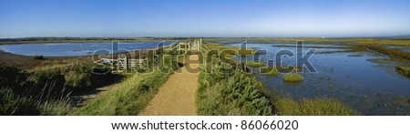 salt marsh, marshes, marshland, the hampshire coast ,sand spit ,hurst spit .salt marshes keyhaven