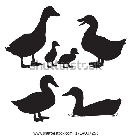 Duck Outline | Free download on ClipArtMag