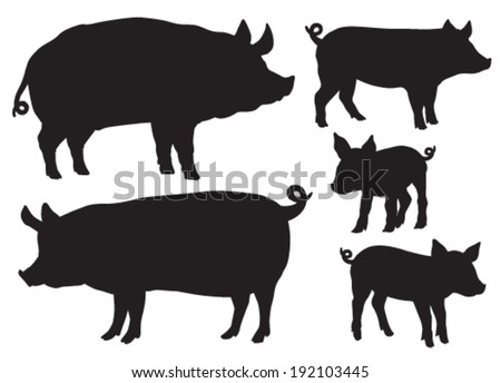Quality black and white vector silhouettes of pigs