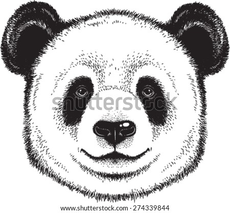 Black And White Vector Sketch Of A Giant Panda'S Face - 274339844 ...