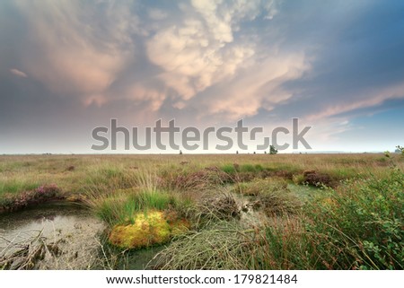mammatus clouds over swamp at sunset, Netherlands