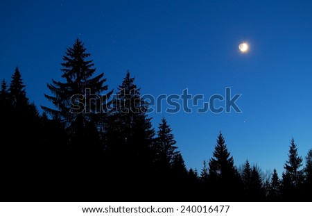 moon and star sky over forest silhouette at night, Alps