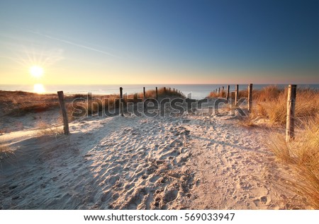 Sunlight Sand