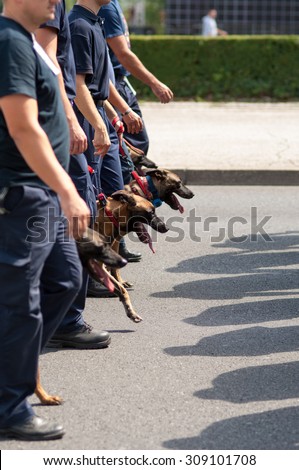 Zagreb, Croatia - August 1, 2015: Fire department dogs during military parade rehearsal held in celebration of 20th anniversary of liberation of Croatia.
