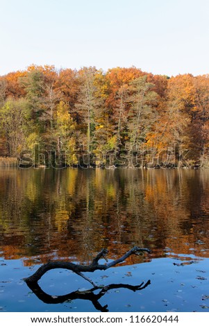 Fall colors reflecting upon the still waters of Lake Schlachtensee in Berlin, Germany.