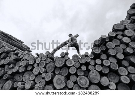 fit man on top of large pile of logs, pushing heavy log