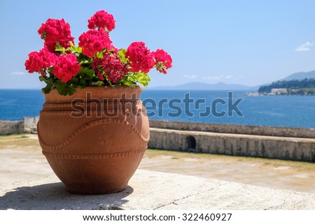 Red blooming geranium in a pot on the wall of Corfu Old Fortress with the Ionian sea at the background, Greece.