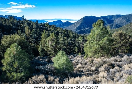 Similar – Image, Stock Photo Monument Valley Juniper