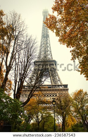 Eiffel Tower behind autumnal trees. Foggy autumn day in Paris.