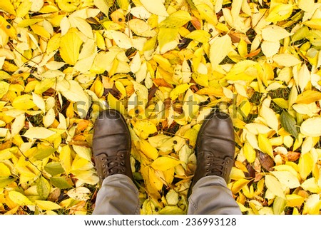 Man\'s legs on autumn leaves. Filtered image