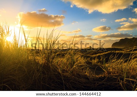 Sunset at Karekare Beach, North Island, Auckland, New Zealand