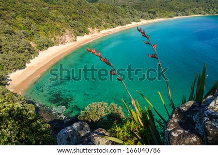 Pacific Sea Coast, Coromandel Peninsula, North Island, New Zealand