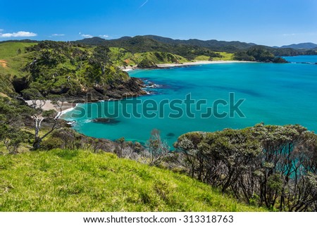 Summer Landscape with Blue Sky on the Pacific Sea Coast, Bay Of Islands, Northland, North Island, New Zealand