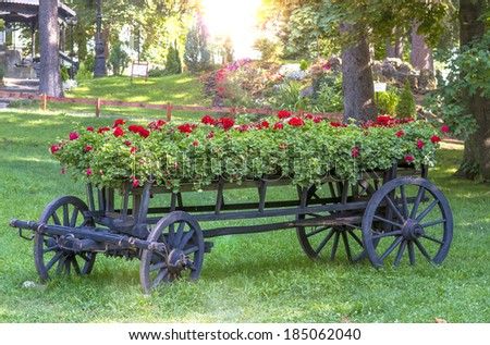 old wheel cart with flowers in the park. focus on the wheel cart.