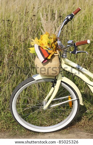 Bike basket with maple leaves and scarf