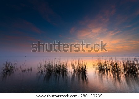 reeds in lake at sunset with cloudy blue orange sky