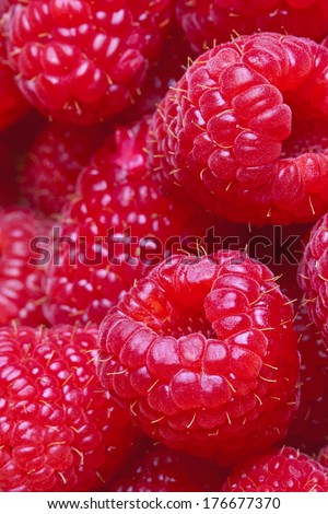 Fresh ripe raspberries closeup.Healthy Living and Nutritious Food concept